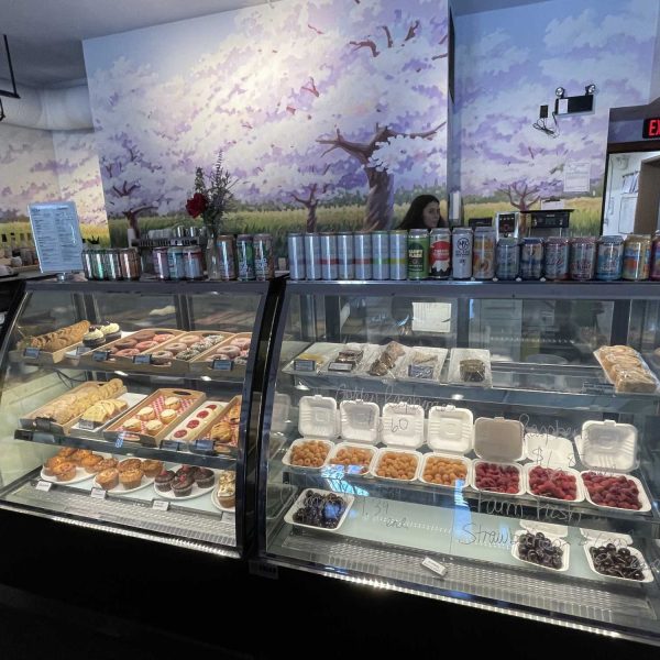 Tree-to-Me-bakery-case