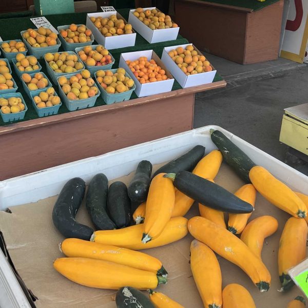 Daves-fruitstand-zuchinni-nectureans