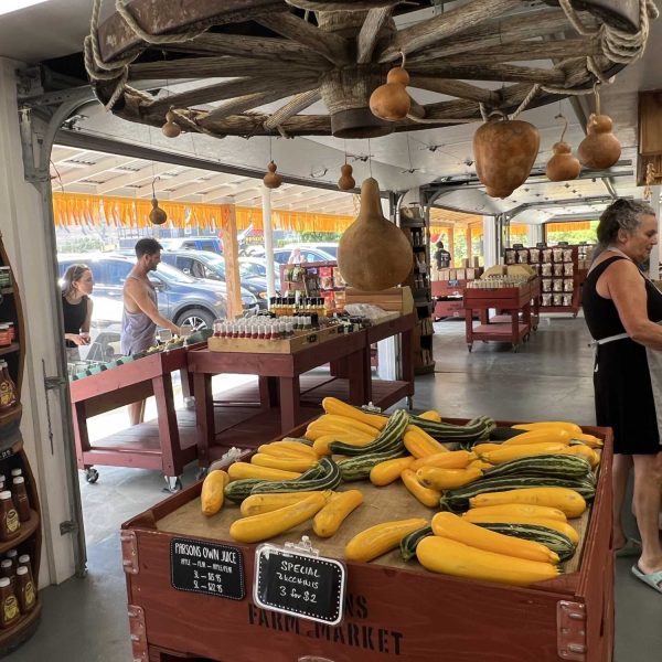 Parsons-zuchinni-display