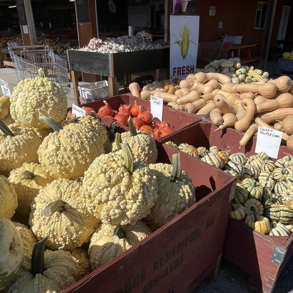 SS-produce-squash