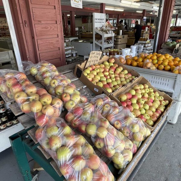 Sandersons-apples