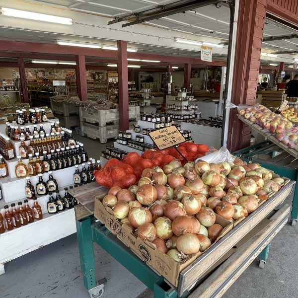 Sandersons-onions-and-display