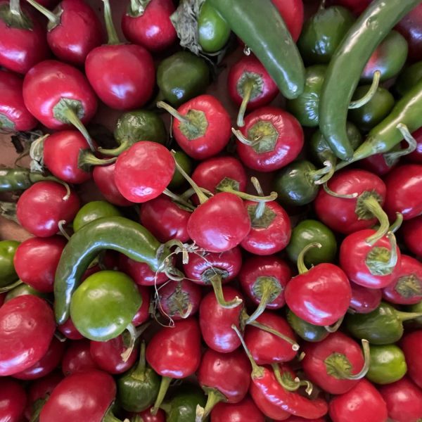 Sandersons-peppers