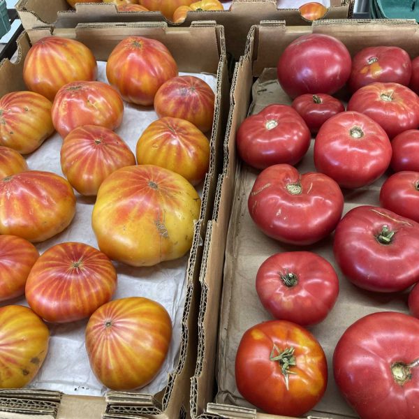 Wild-at-Heart-tomatoes-2