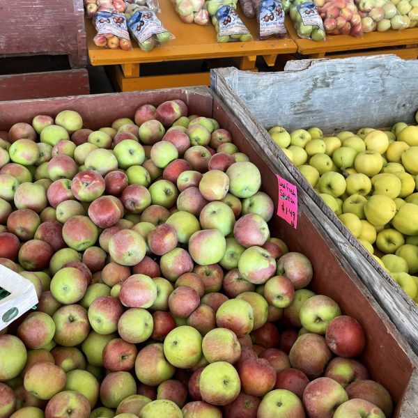 Peach-King-apples