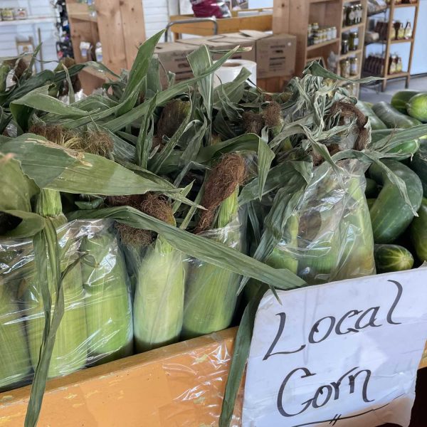 Peach-King-corn