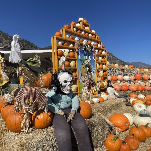 Peach-King-hallow-display