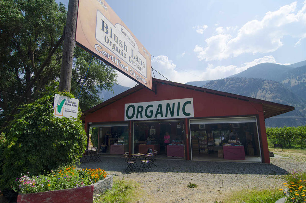 Organic is the only way to go