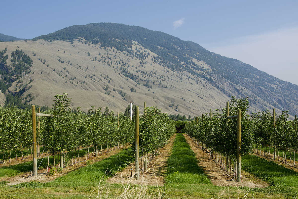 Cawston Communities Similkameen Valley, BC, Canada