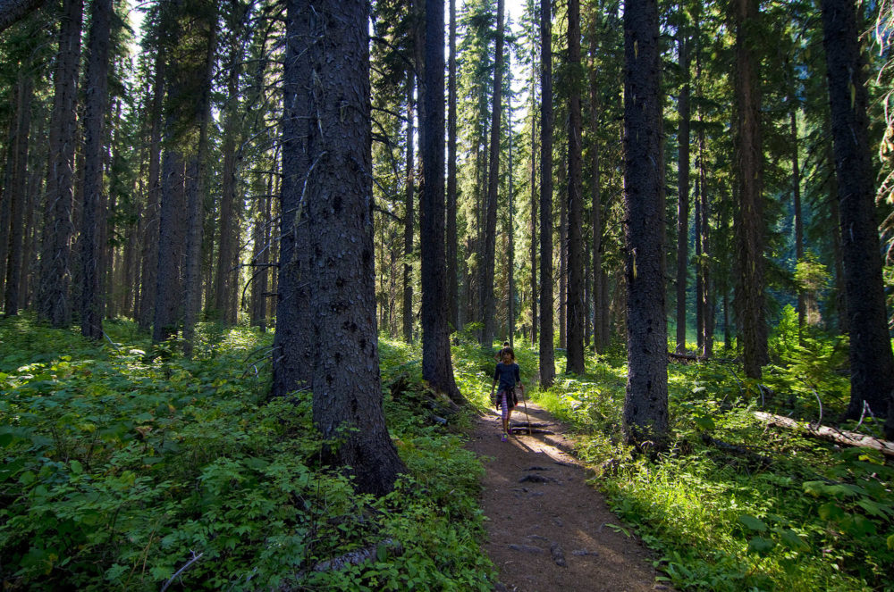 Hiking the Similkameen Valley