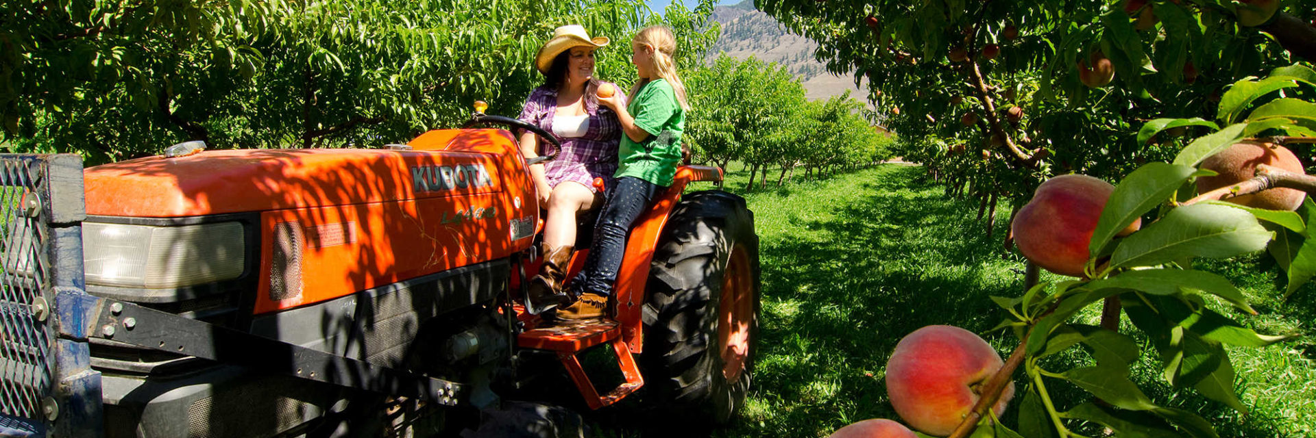 Fruit Stands and Orchards - Similkameen Valley