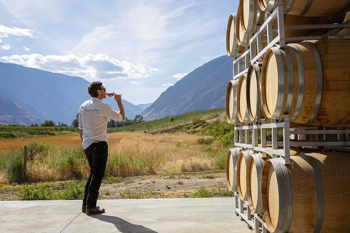 IMG_7735-m-web-1200 Hugging Tree Winery, Cawston, Similkameen