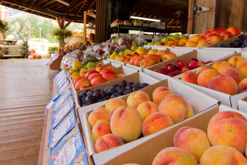 Fruit Stands Orchards