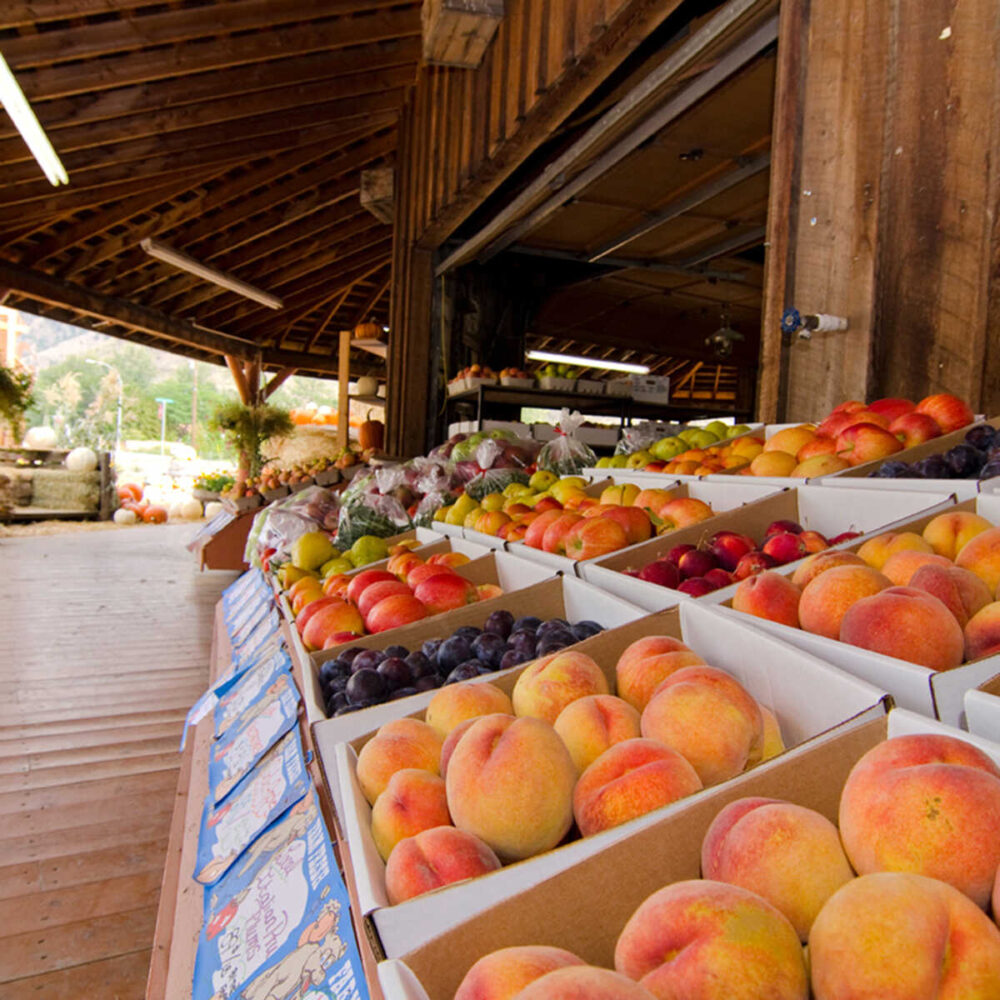 Fruit Stands and Orchards