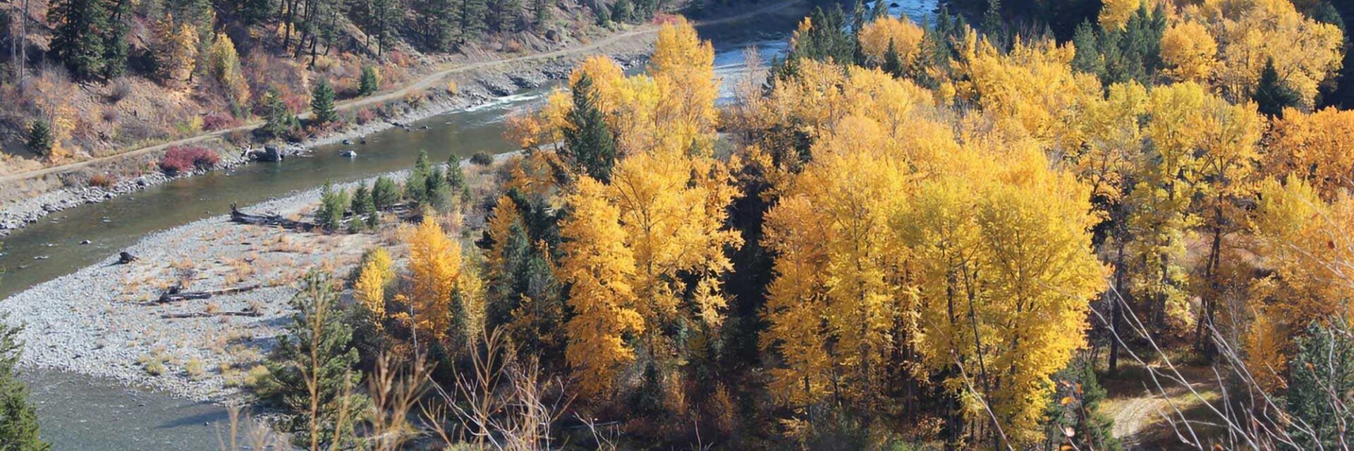 fall colours Tulameen River