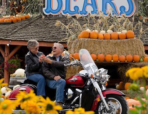 bear-fruit-stand-700 Pumpkins
