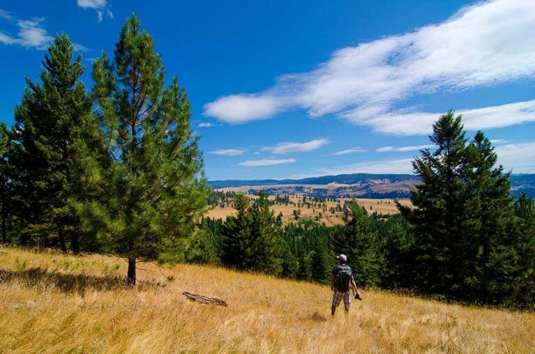 Chine Ridge China Ridge | Trails | Similkameen Valley