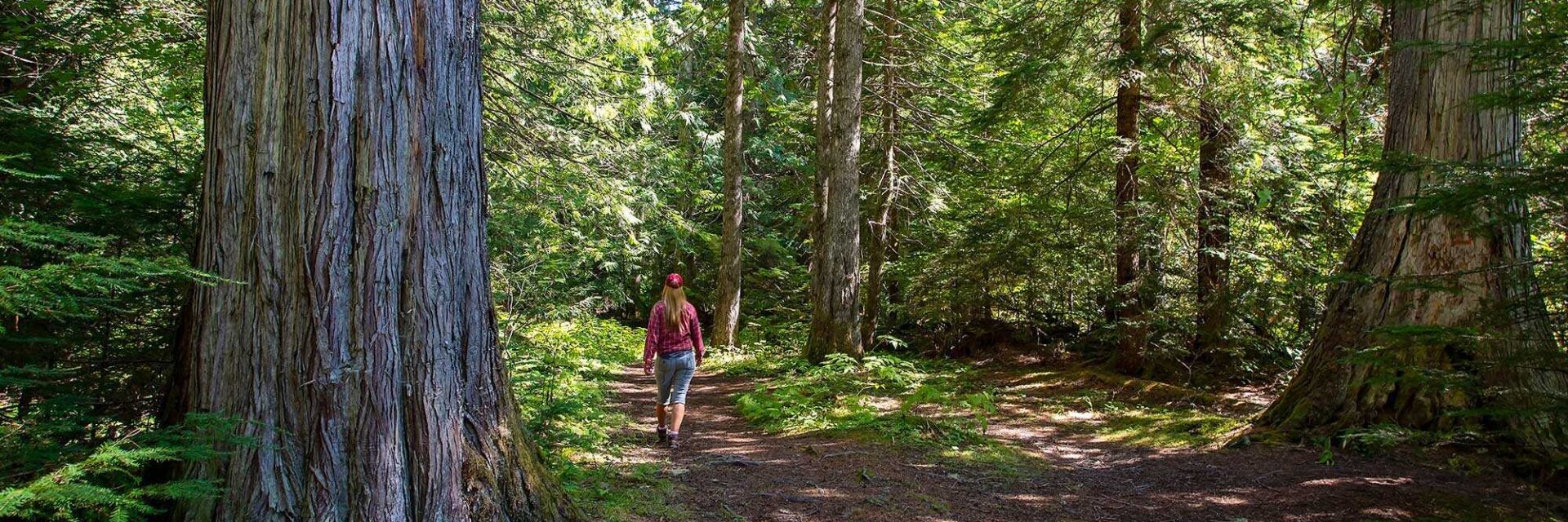 Hiking in Manning Park