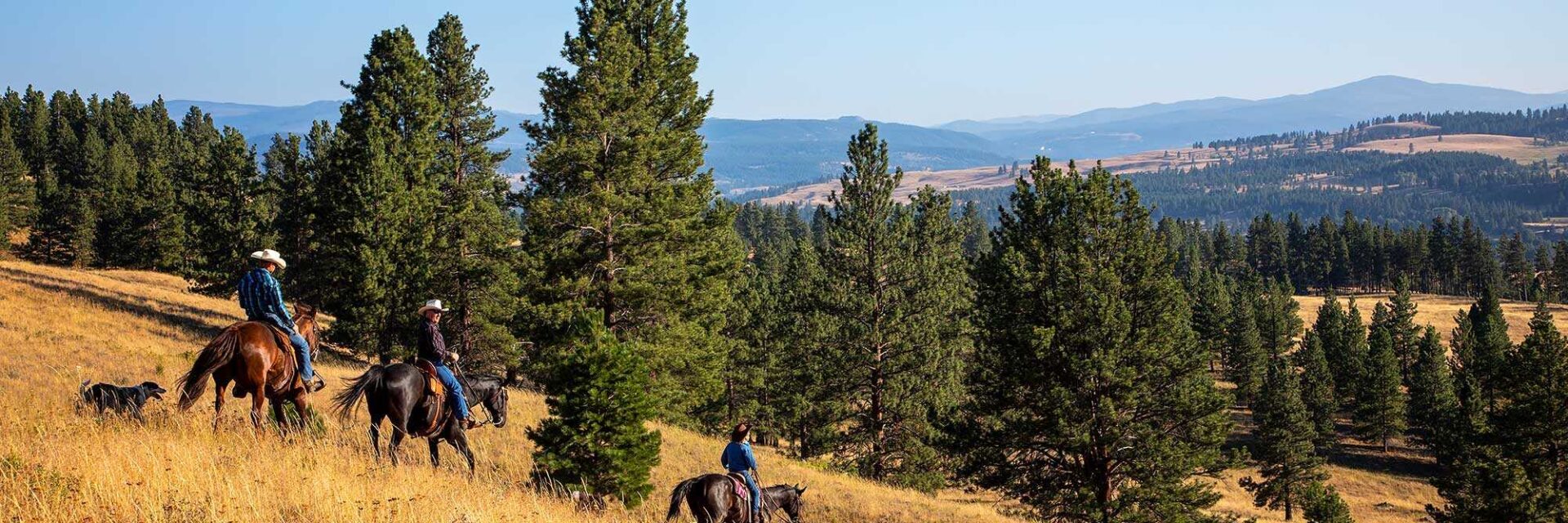 Horseback riding China Ridge
