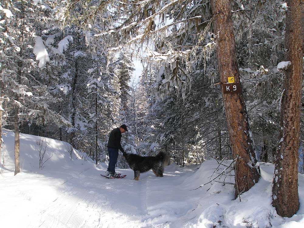 Off-leash dog and person snowshoeing in the Similkameen Valley.