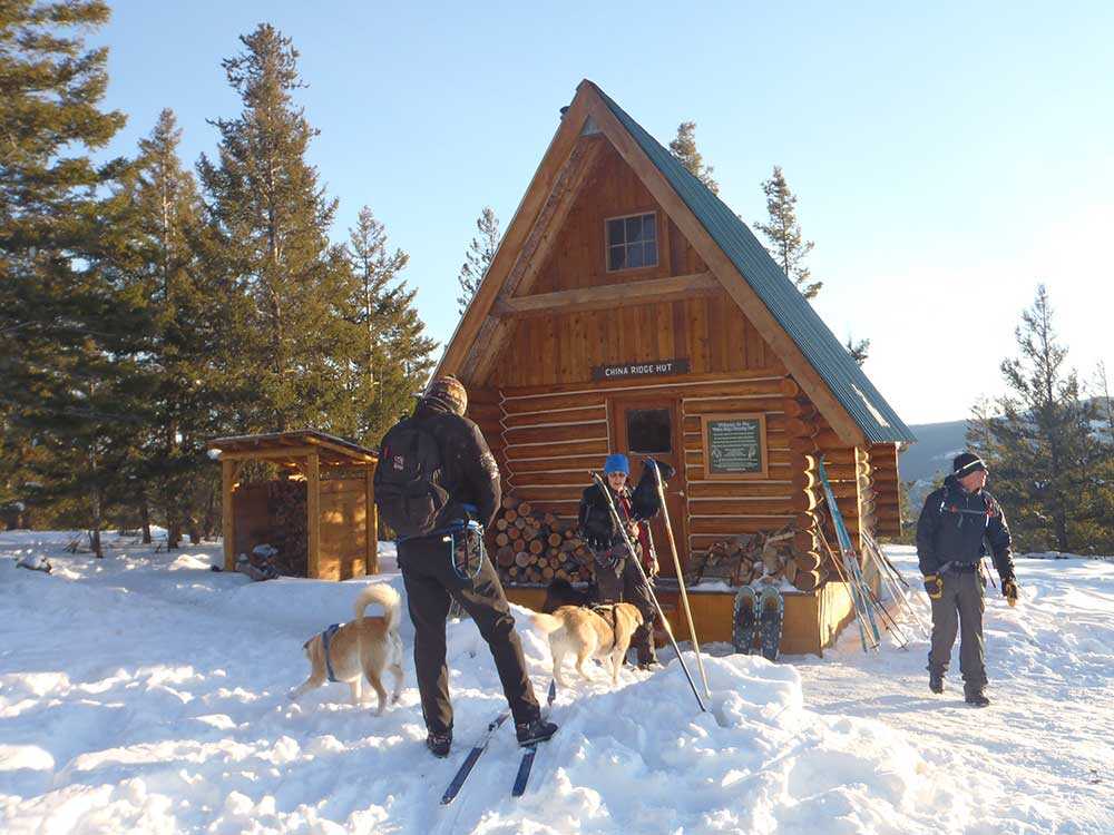 Skiing with dogs in the Simlkameen Valley.