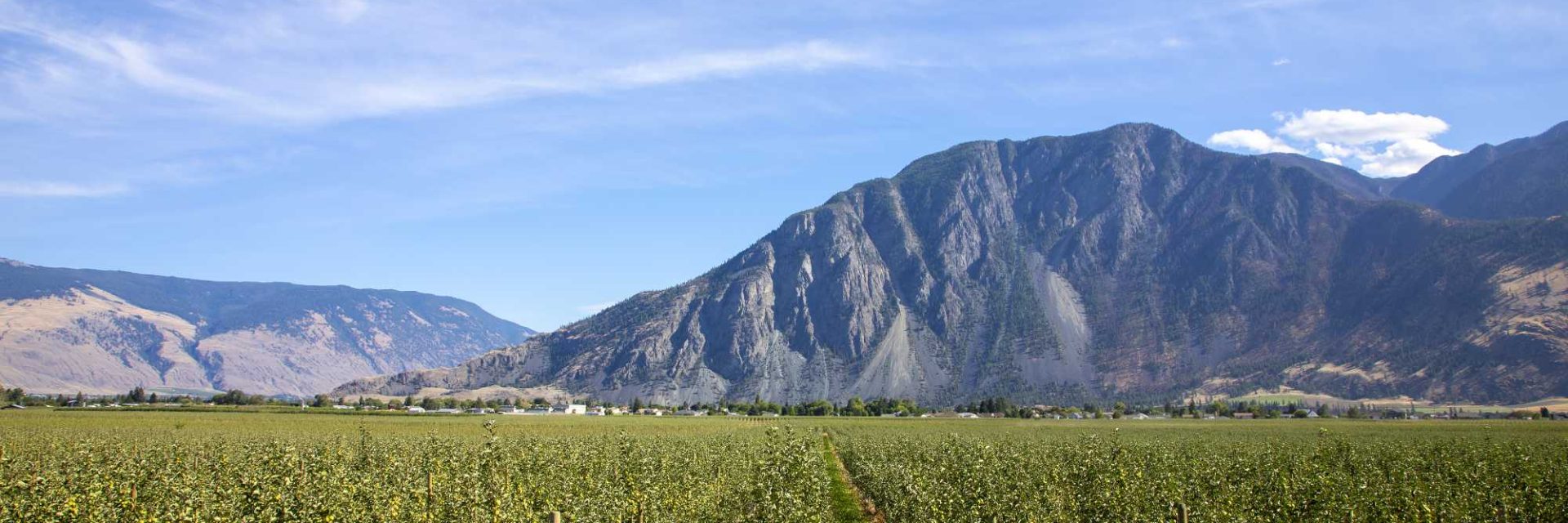Orchards in the Similkameen Valley, British Columbia, grow beneath dramatic mountains—showcasing the landscape that shapes the region’s farms, fruit and wine.