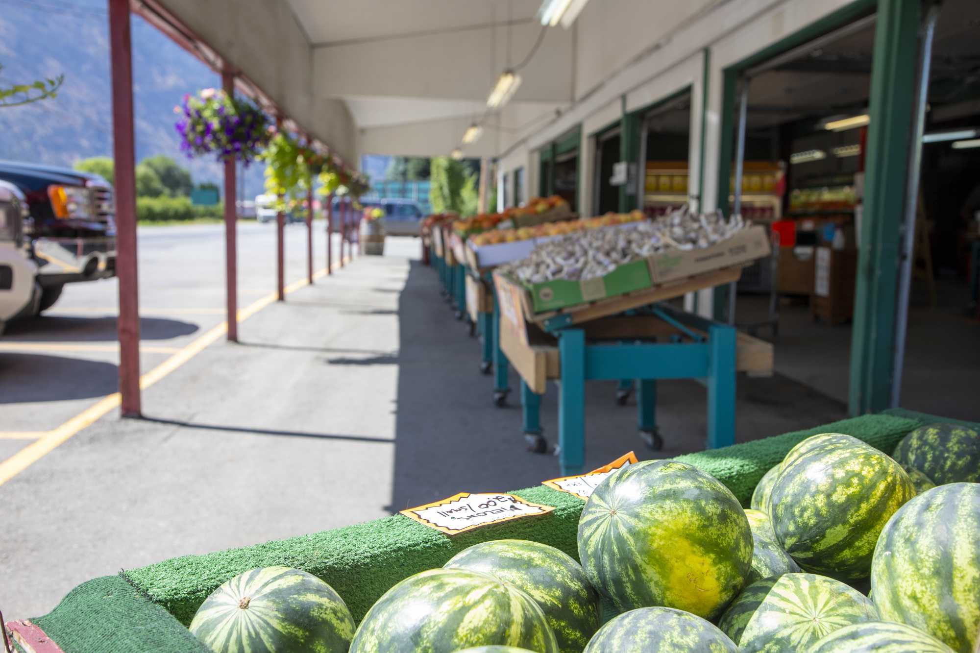 Fresh watermelons and local produce at a roadside fruit stand in the Similkameen Valley near Keremeos, British Columbia, a region known for its summer harvest and farm markets.