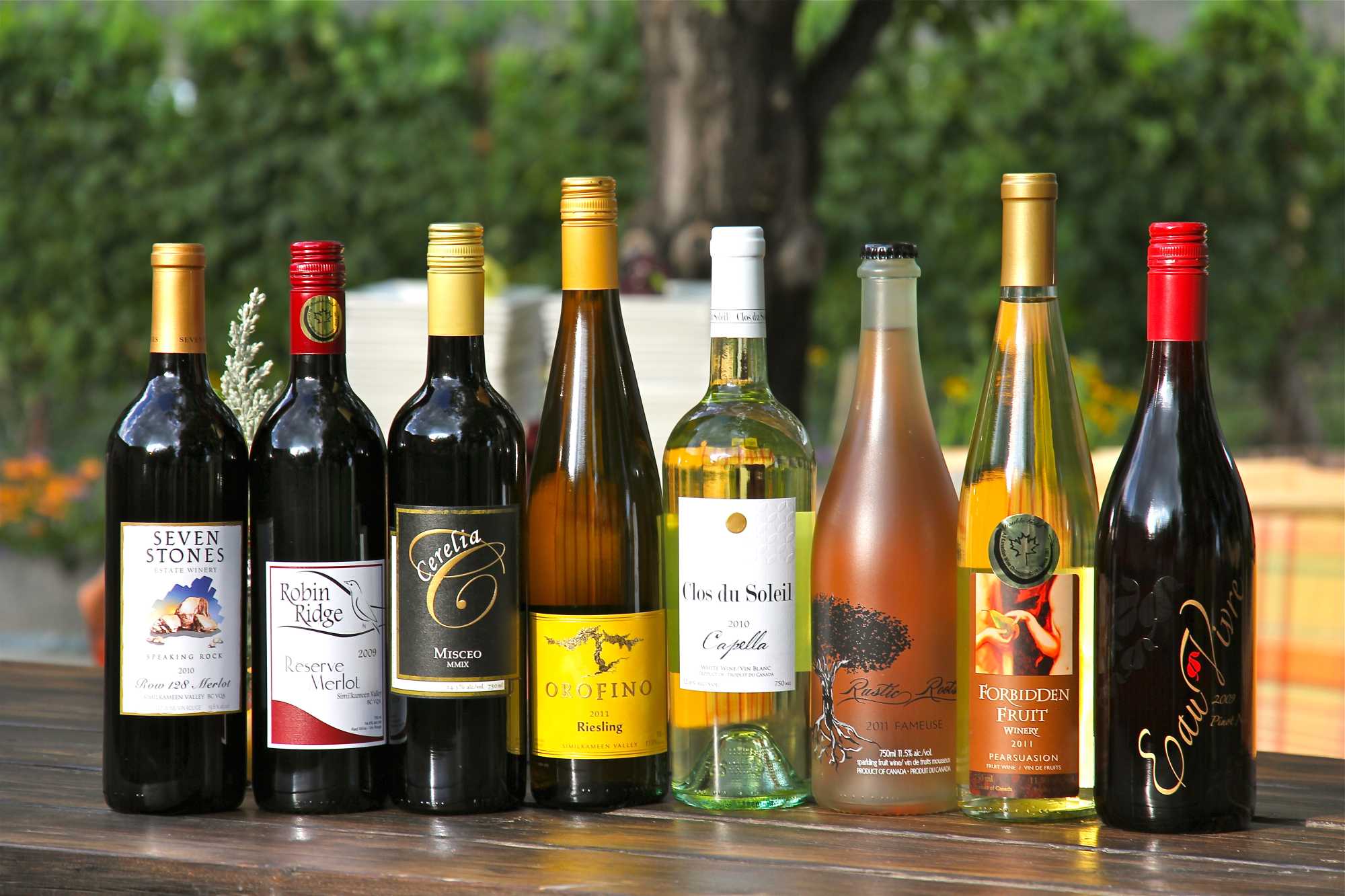 Selection of wine bottles from Similkameen Valley wineries in British Columbia