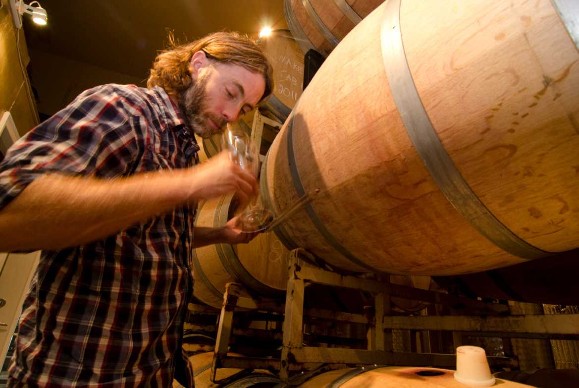 A winemaker tastes wine from the barrel in a Similkameen Valley winery in British Columbia, highlighting the hands-on craft behind the region’s wines.