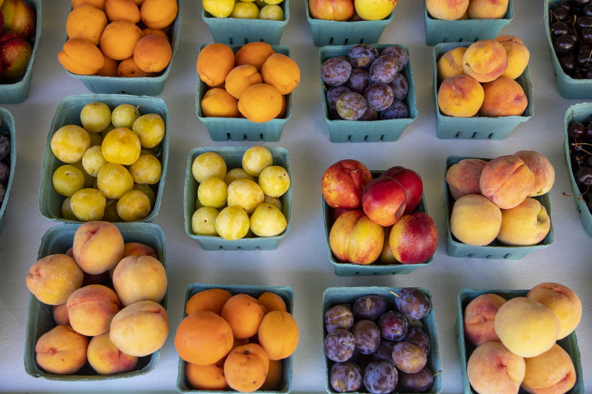 Baskets of fresh stone fruit including peaches, apricots, nectarines, yellow plums, purple plums, and cherries displayed at a Similkameen Valley farm stand along Highway 3 between Keremeos and Cawston, BC.