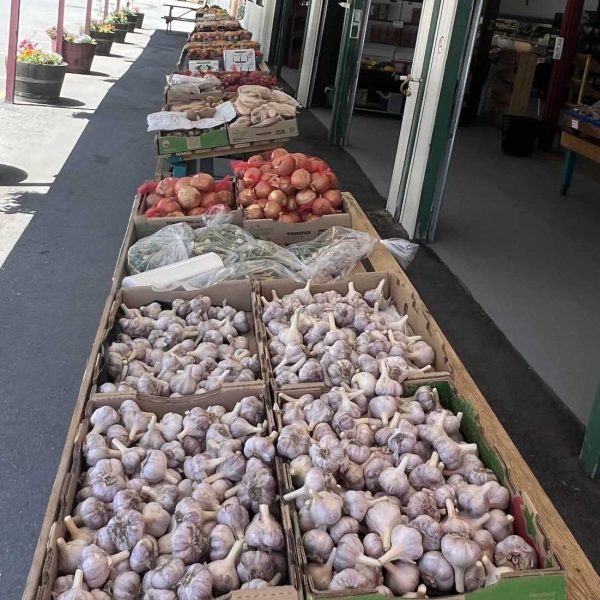 BJ-Green-Farm-Market-garlic-onions