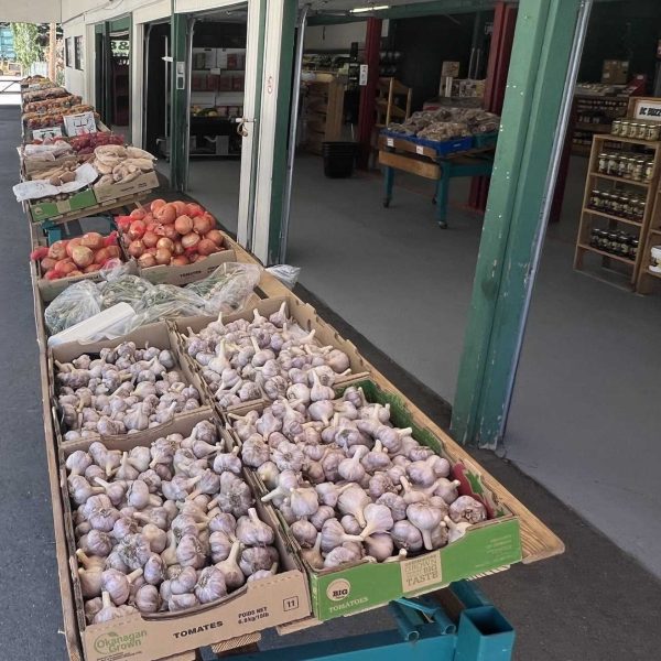 BJ-Green-Market-gralic-onions-ssq