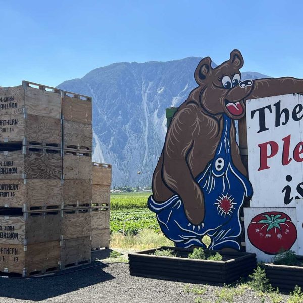 Bears-Fruit-Stand-Sign