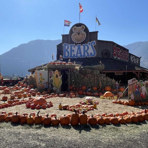 Bears-Fruit-Stand-fall-display-H
