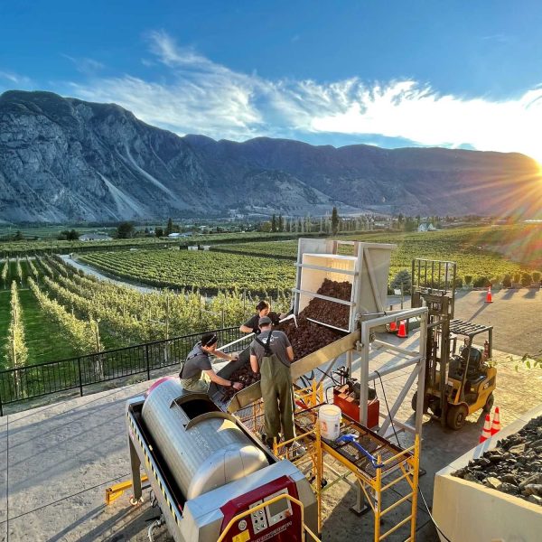 CrushPad2021