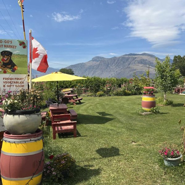 Go-Gos-Fruit-market-picnic-area