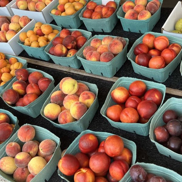 Mom-Pops-Stonefruit