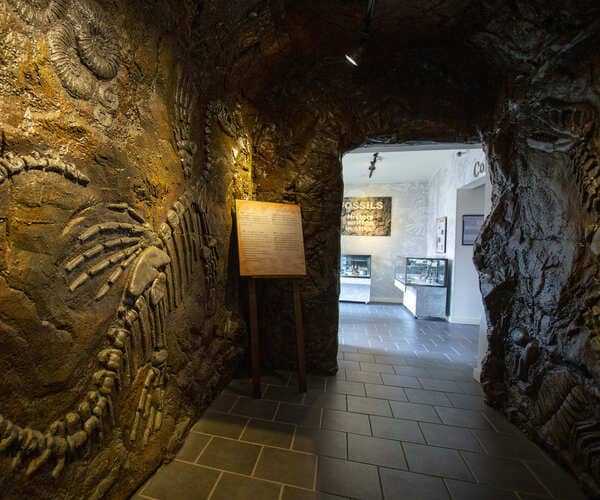 Princeton museum