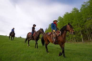 Backcountry Horseback Riding