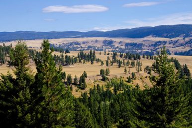 China Ridge, Similkameen Valley
