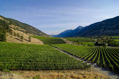 Similkameen Valley Wineries