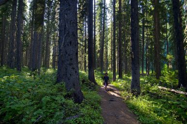 Hiking the Similkameen Valley