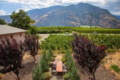 Orofino Vineyards, Wedding Venue, Accommodation Cawston