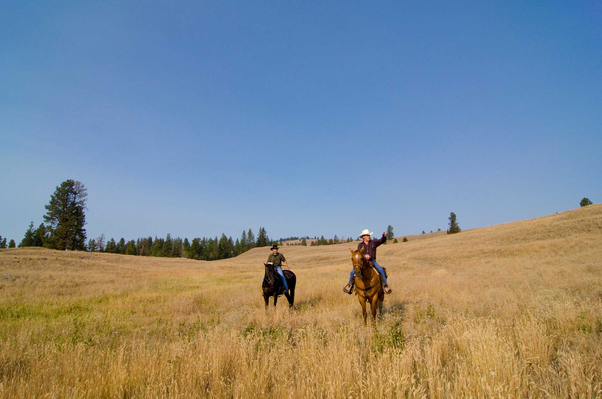 Backcountry Horseback Riding Similkameen Valley